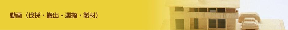 動画（伐採・搬出・運搬・製材）