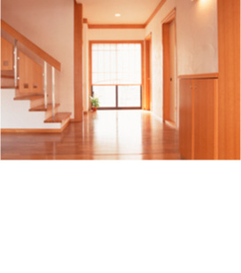 地球温暖化防止に貢献する木材